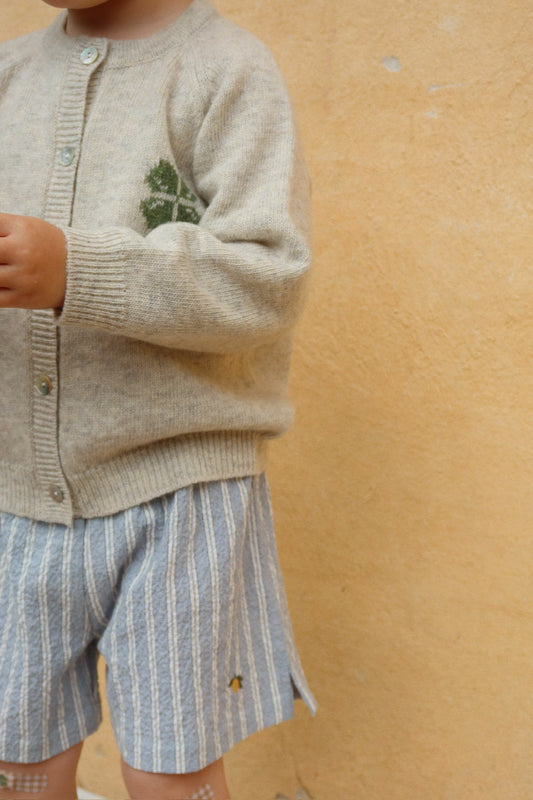 Shorts Elliot 'Trio Bleu Stripe'